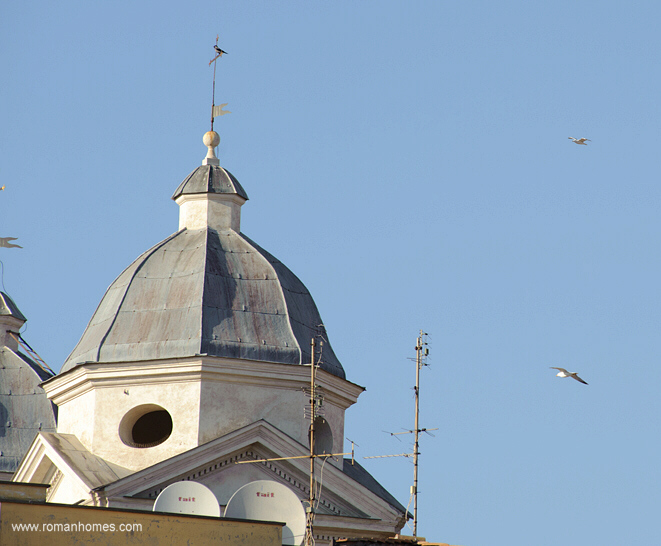 Seagulls and crow over the domes of the Church Trinita' dei Monti